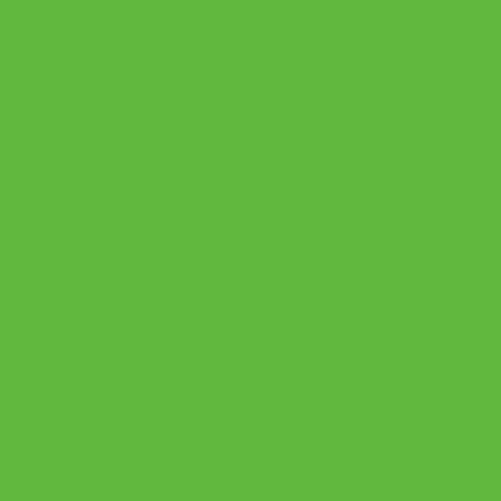 みどり 2030-30 Lucky Charm Green - Paint Color | Juniper Paints