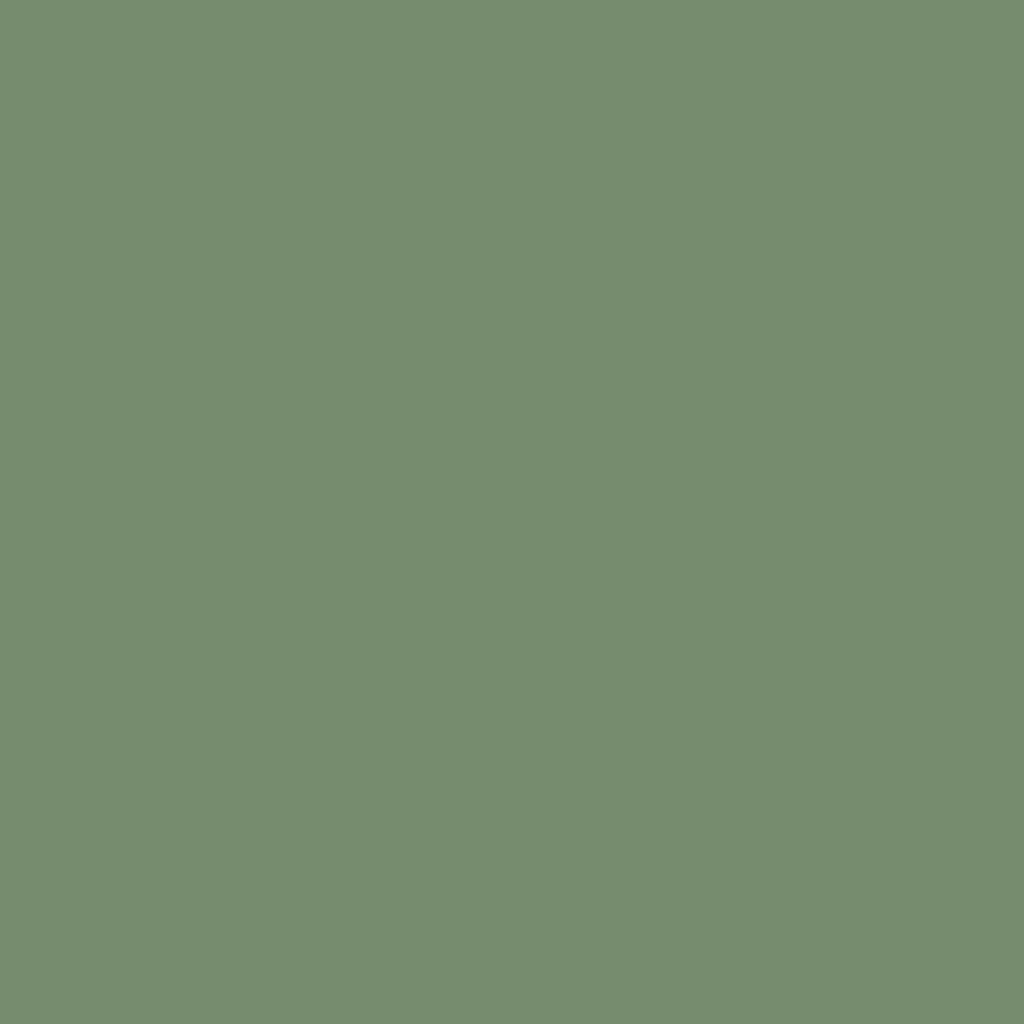 CW-520 Palace Green - Paint Color | Juniper Paints CW-520 Palace Green - Paint Color | Juniper Paints