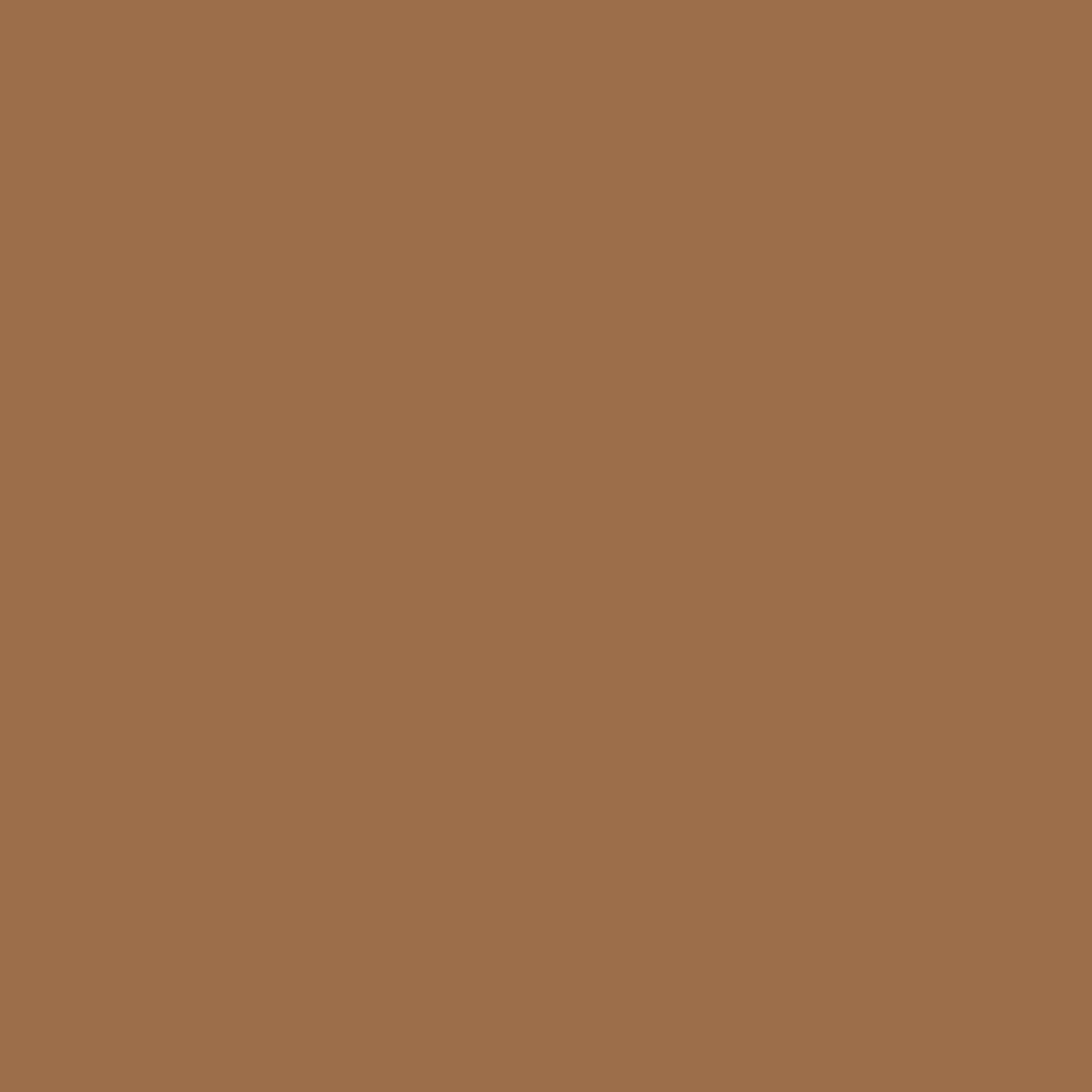 1140 Runyon Canyon Tan - Paint Color | Juniper Paints