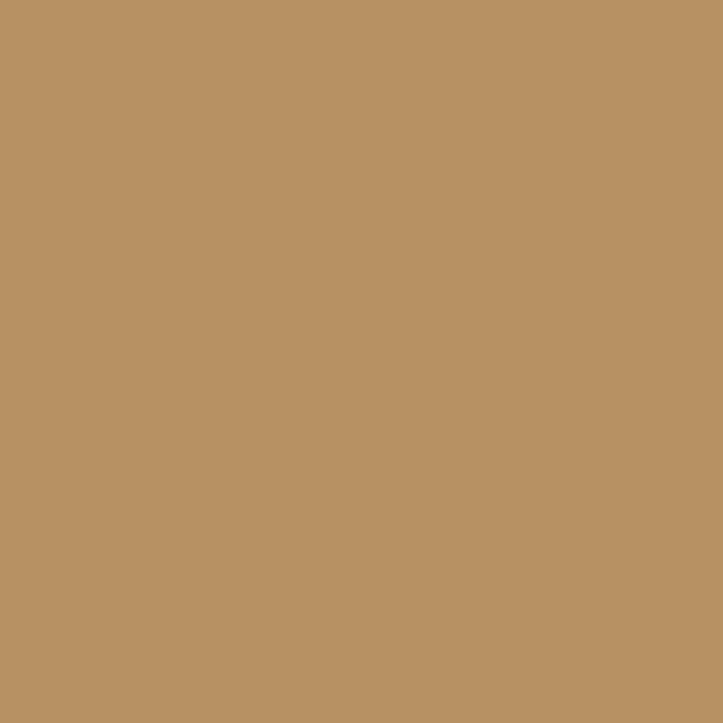 1118 Classic Caramel - Paint Color | Juniper Paints