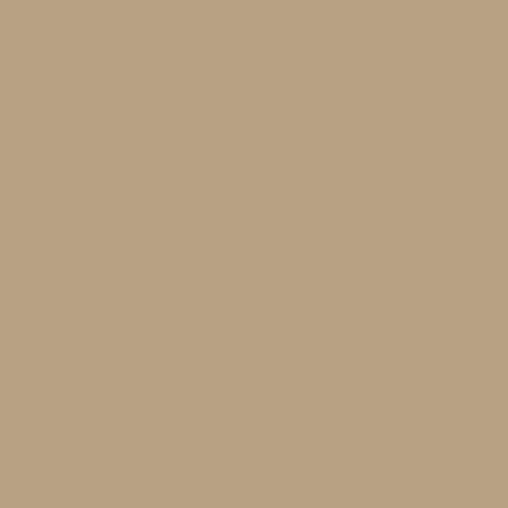 1054 Sherwood Tan - Paint Color | Juniper Paints