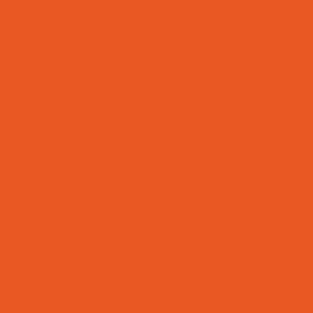2014-10 Festive Orange - Paint Color | Juniper Paints