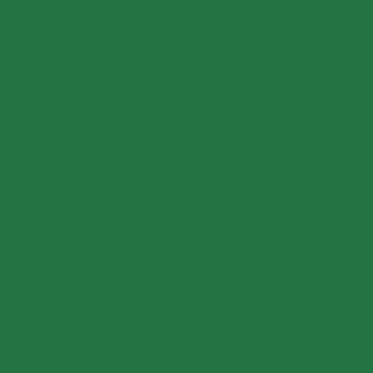 カクタスグリーン産☆CACTUS GREEN☆CG2☆CACTUS GREEN2 cactus.green