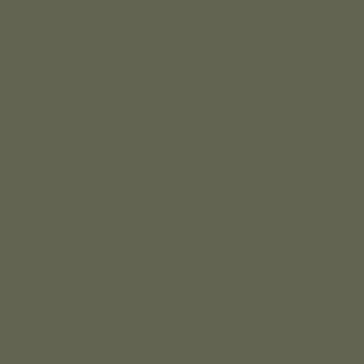 1498 Forest Floor - Paint Color | Juniper Paints