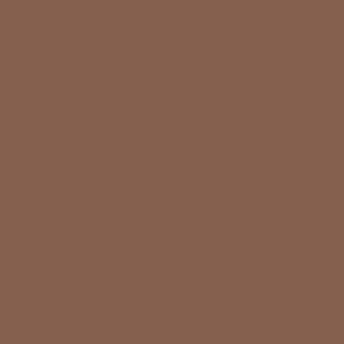 CC-484 Hot Chocolate - Paint Color | Juniper Paints
