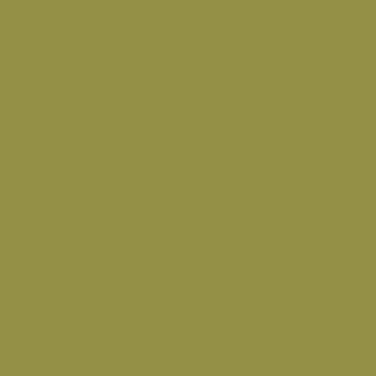2147-20 Olive Moss - Paint Color | Juniper Paints