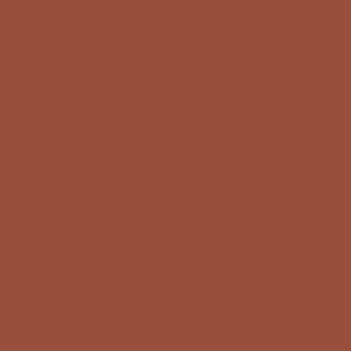2174-20 Cinnamon - Paint Color | Juniper Paints