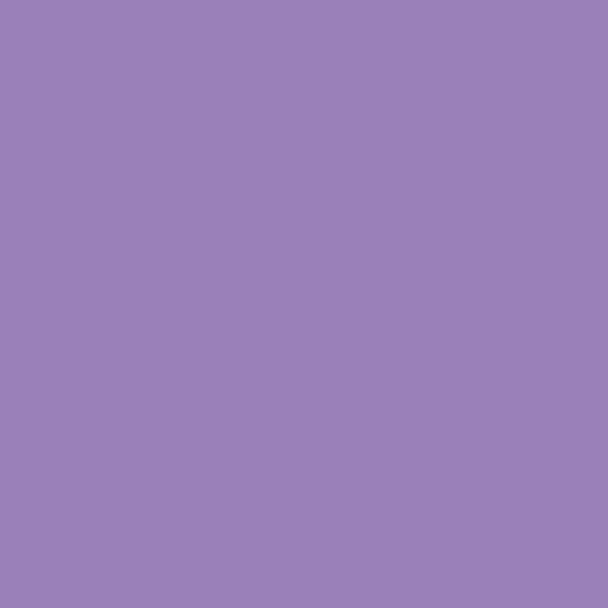 【おまけ付】 Crocus 2071-40 Petal Paints Juniper | Color Paint - Purple その他