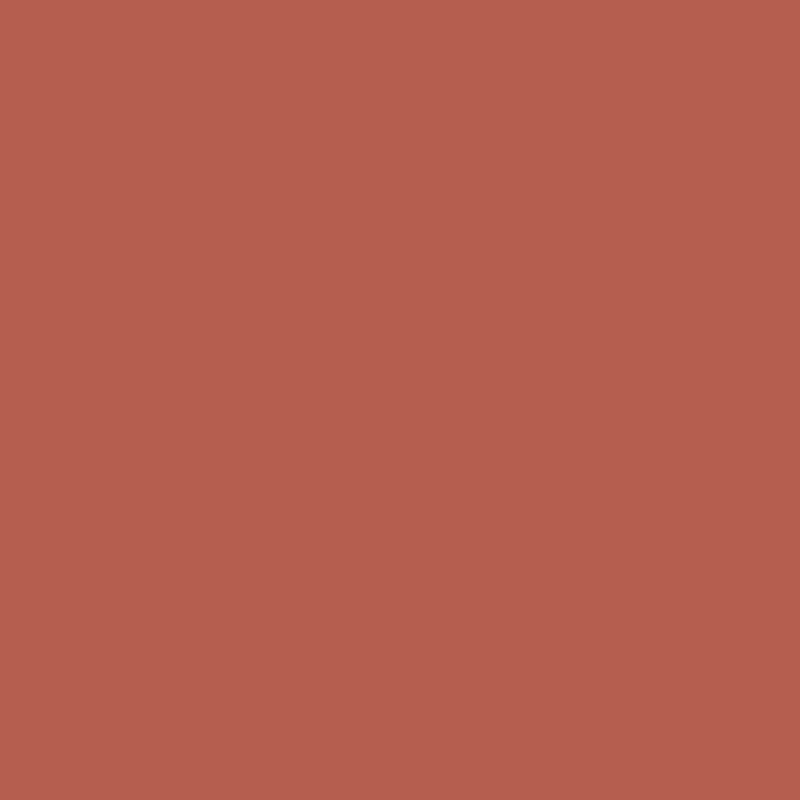 2089-20 Rosy Peach - Paint Color