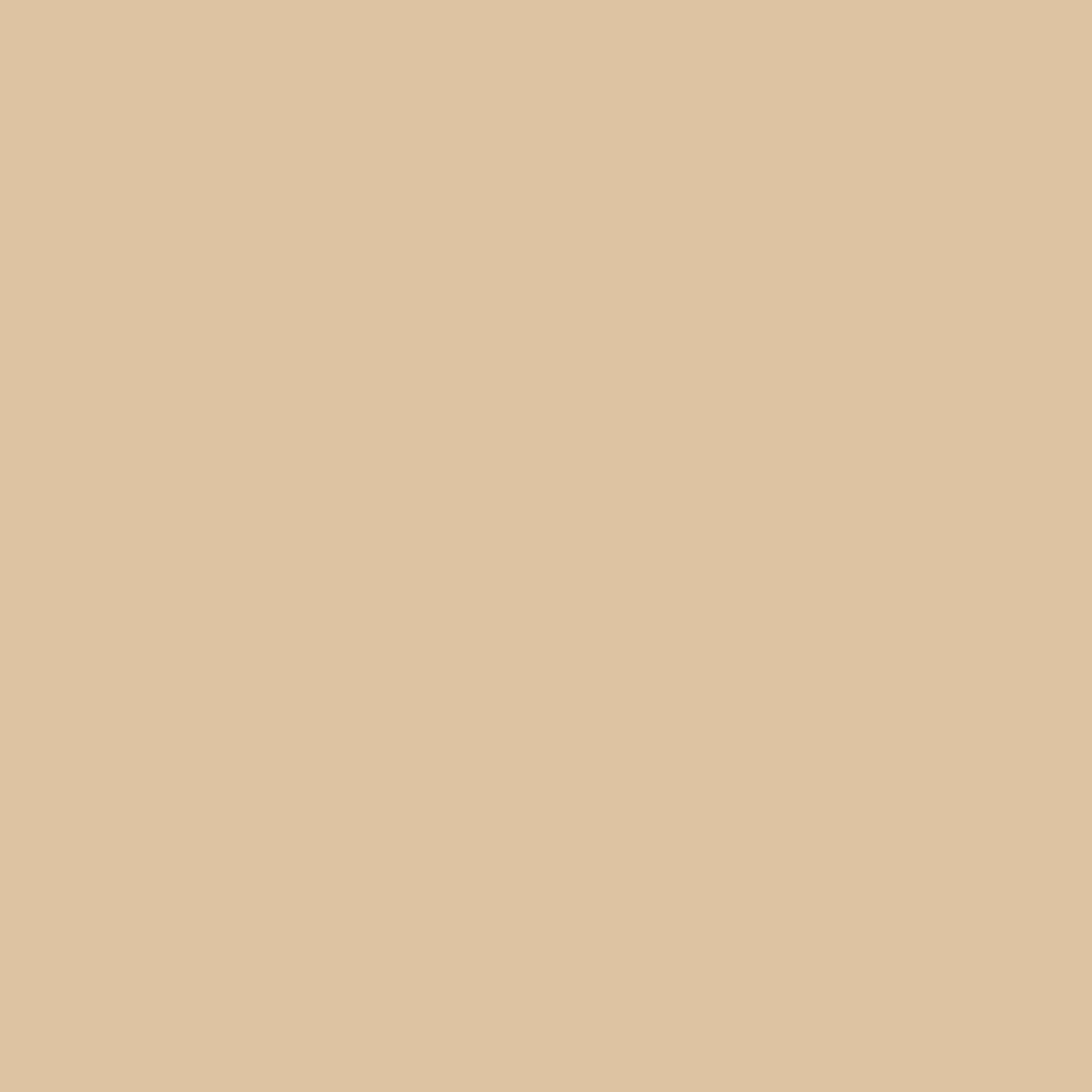 2162-50 Arizona Tan - Paint Color | Juniper Paints