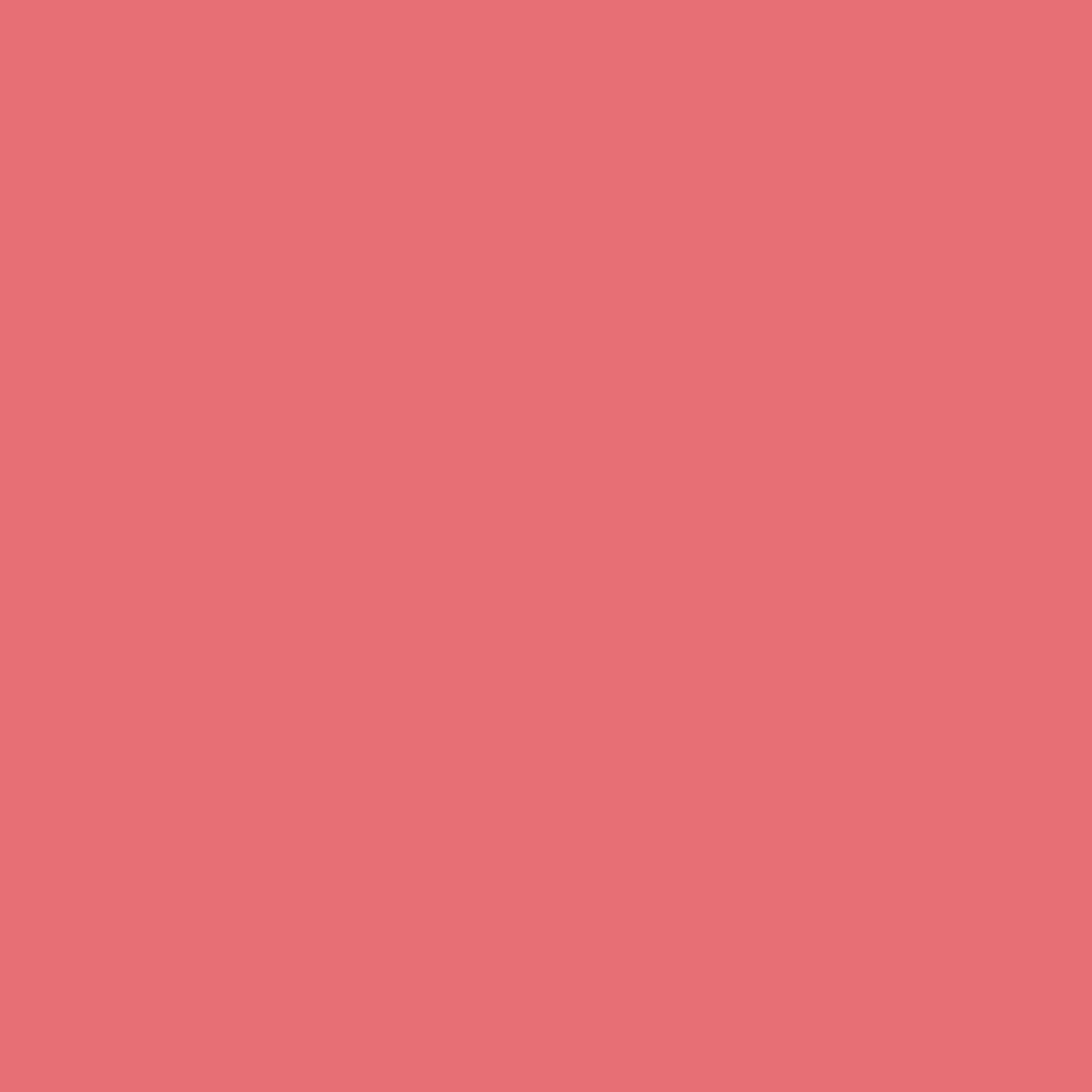 1320 Florida Pink - Paint Color | Juniper Paints