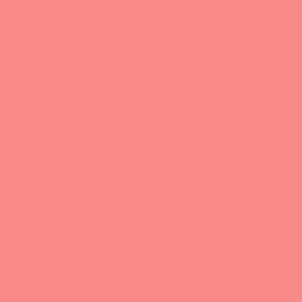 2009-40 Pink Peach - Paint Color | Juniper Paints