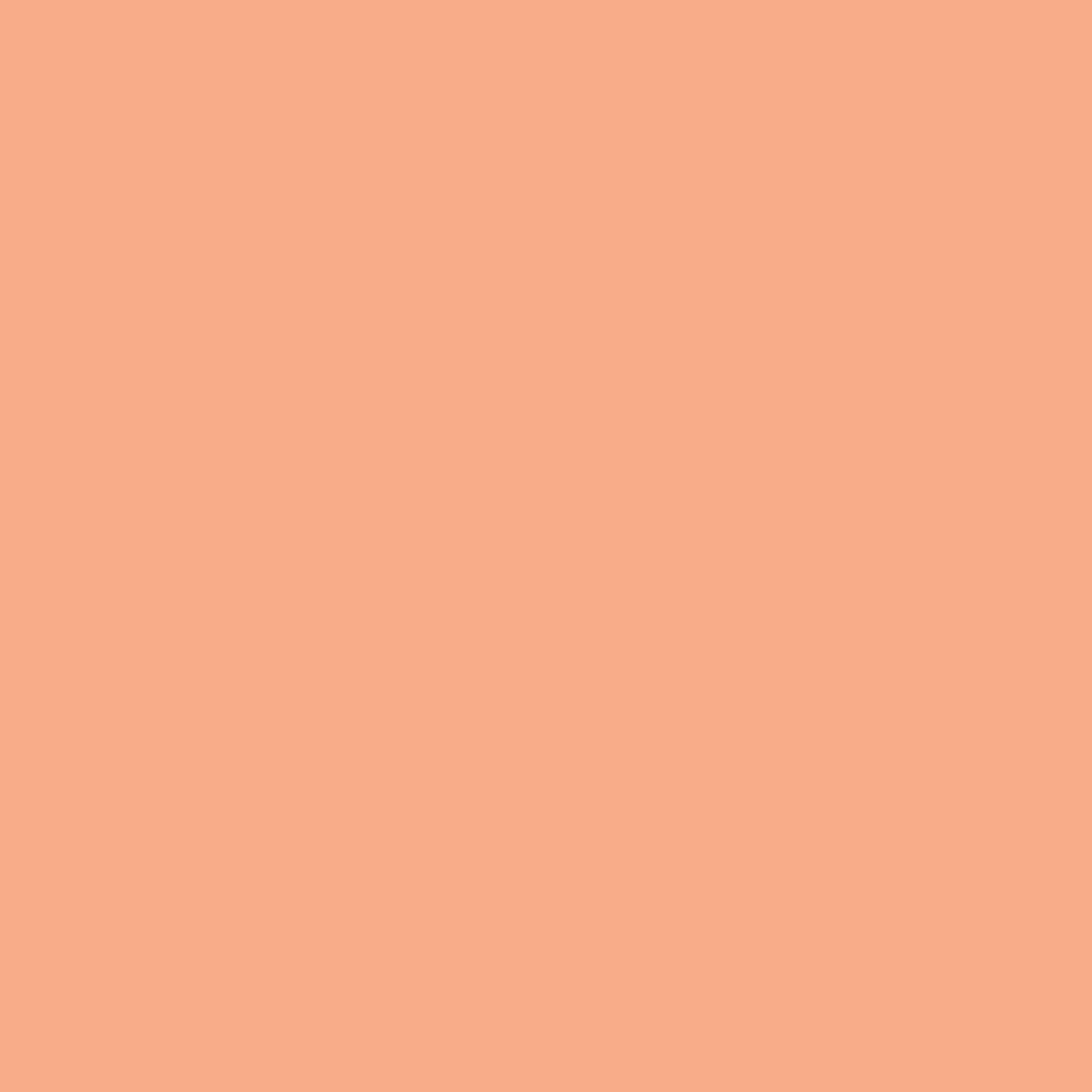 081 Intense Peach - Paint Color | Juniper Paints