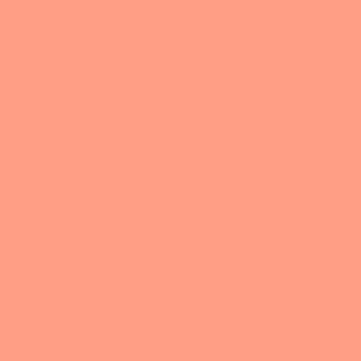 2013-40 Dusk Pink - Paint Color | Juniper Paints